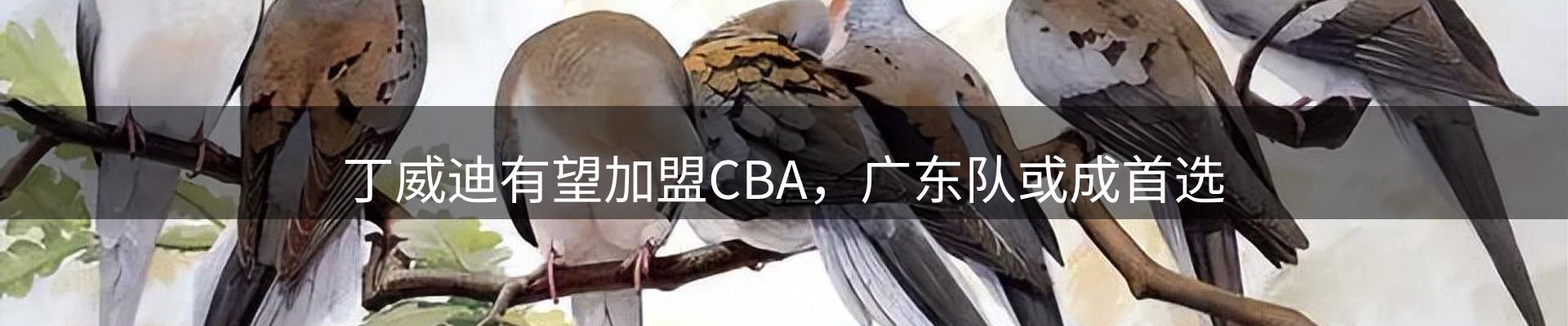 资讯记录