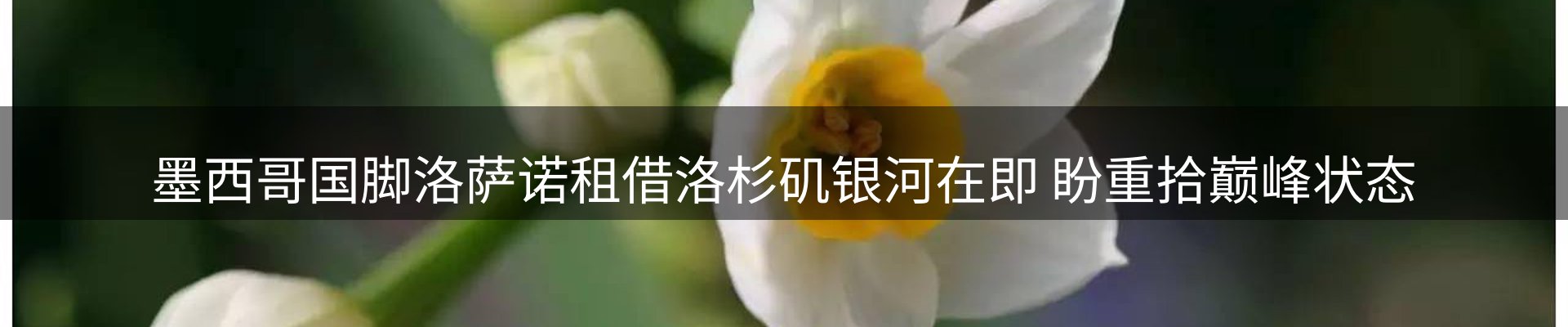 今日资讯