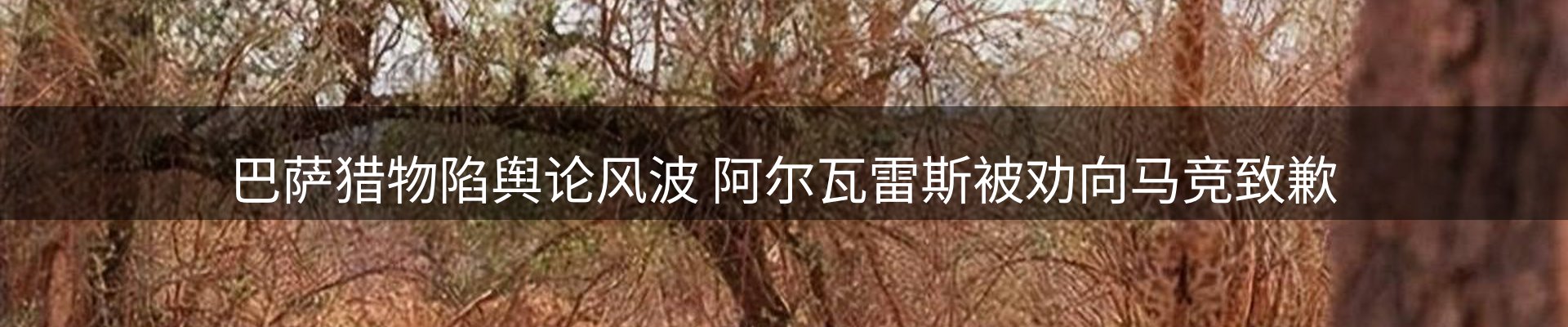 今日资讯